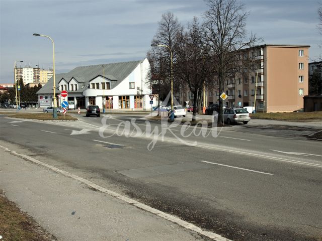 1739986402-1.jpg
